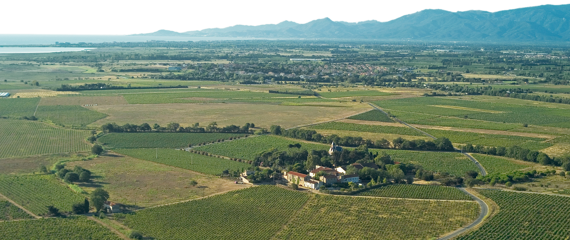 vineyard, field, rural, burgundy, france, landscape, hills, grapevines, plantation, nature, countryside, scenery, summer, evening sky, evening mood, vineyard, vineyard, vineyard, vineyard, vineyard, france, france, france, summer